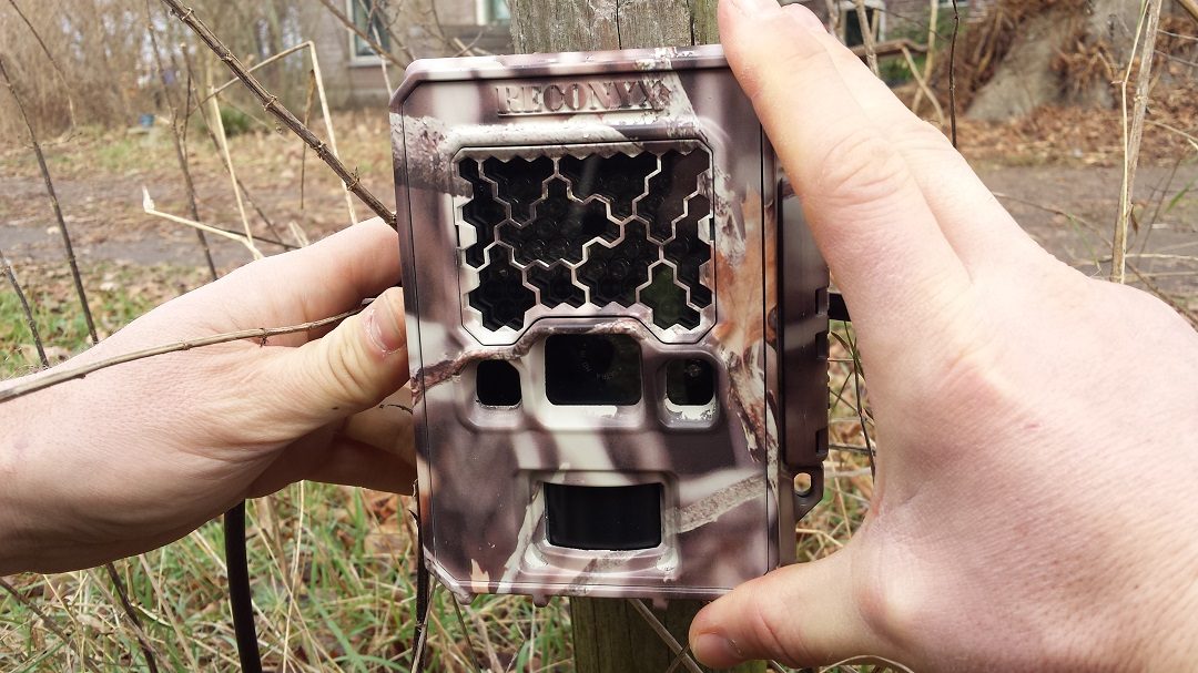 Cursus gebruik Wildcamera & Beeldverwerking