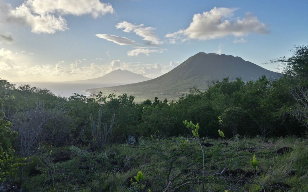 Zoogdierexpeditie Sint Eustatius