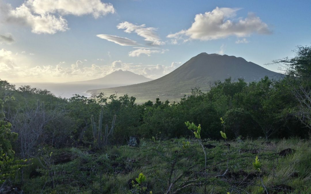 Zoogdierexpeditie Sint Eustatius