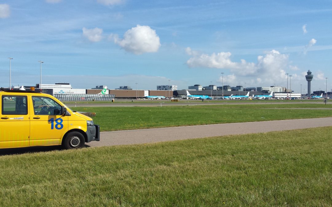 Onderzoek naar het populatieverloop van veldmuizen op Schiphol Airport