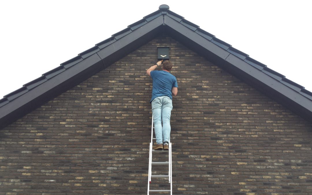 Hang eens een vleermuiskast in je tuin!