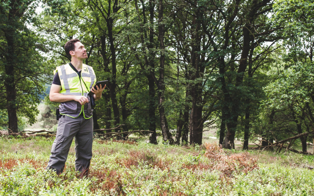 Gezocht: junior flexwerker ecologisch veldonderzoek!