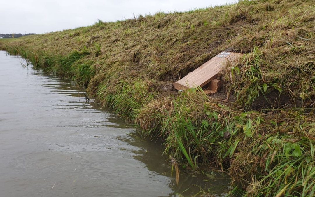 Ingegraven wezelnestkast