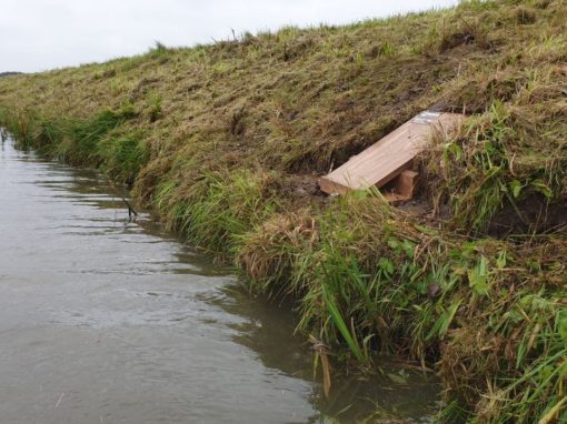 Ontwerp wezelnestkast voor open polderlandschap