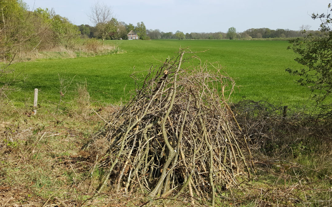 De aanleg van een schuilplaats; goed voor leefgebied en  biodiversiteit!