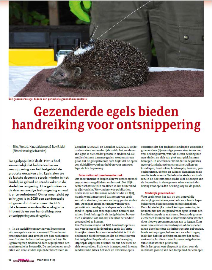 Gezenderde egels bieden handreiking voor ontsnippering | VNBL maart 2022