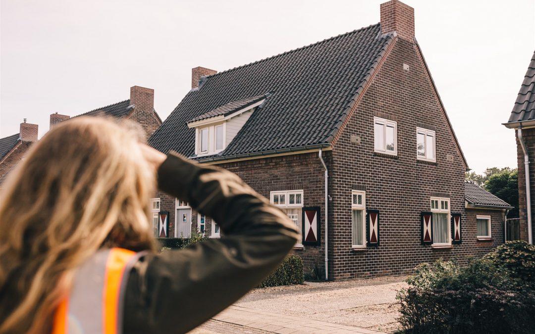 Nader onderzoek gierzwaluw