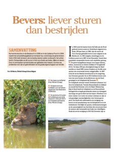 Bevers: liever sturen dan bestrijden | De Levende Natuur - nr. 6-2022