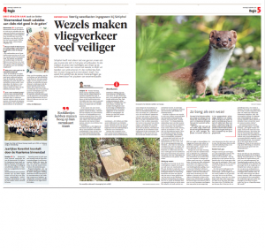 Wezels maken vliegverkeer veel veiliger | Haarlems dagblad - september 2023