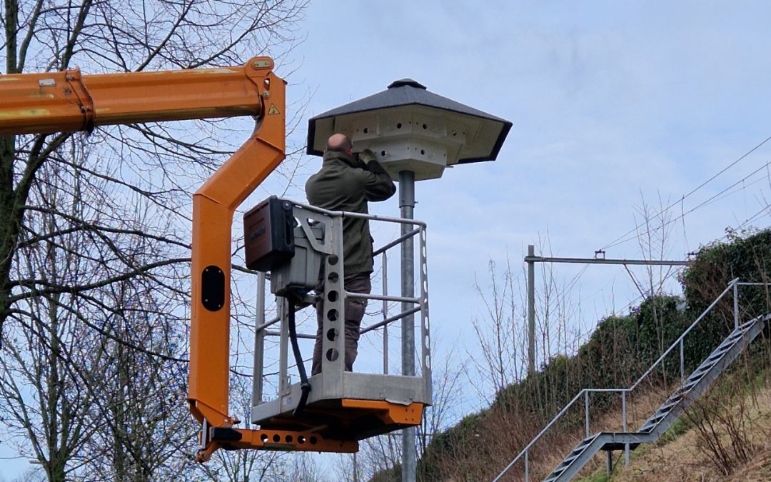 Natuurwaarden in stand houden door compensatie met faunavoorzieningen