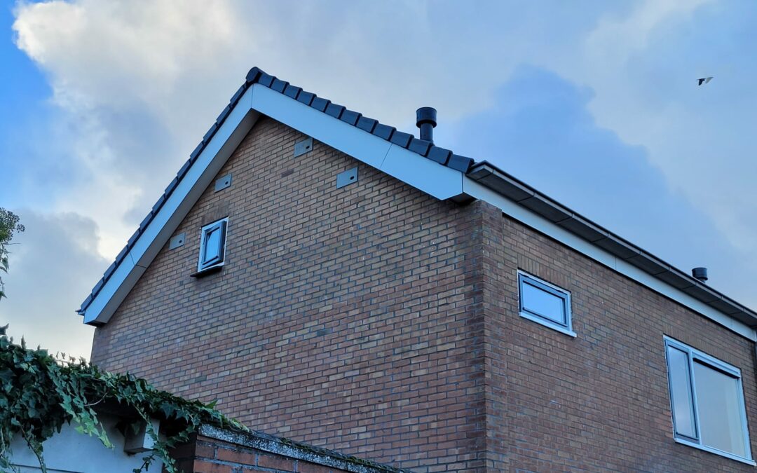 Ecologische begeleiding
