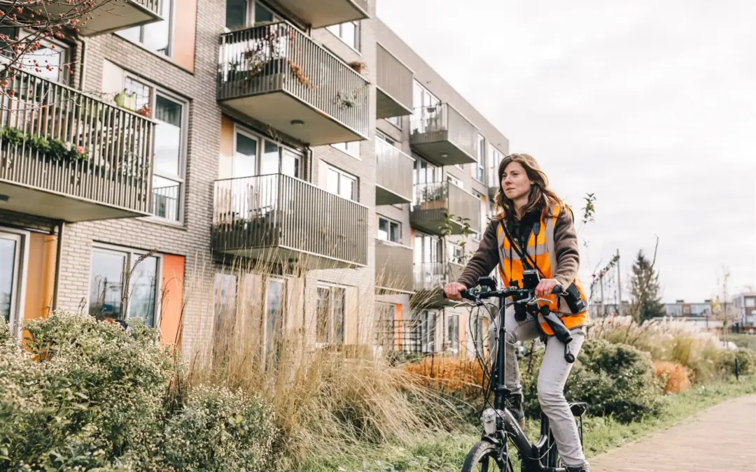 Richtlijn vleermuisonderzoek Grote Gebieden