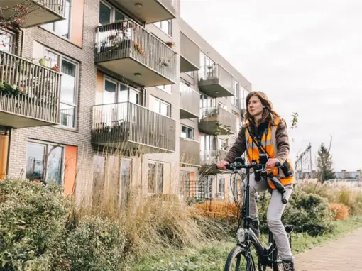 Richtlijn vleermuisonderzoek Grote Gebieden