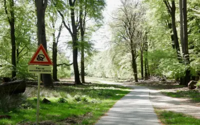 Rondje fietsen? Let op reptielen!